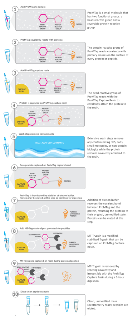 Workflow with explanations