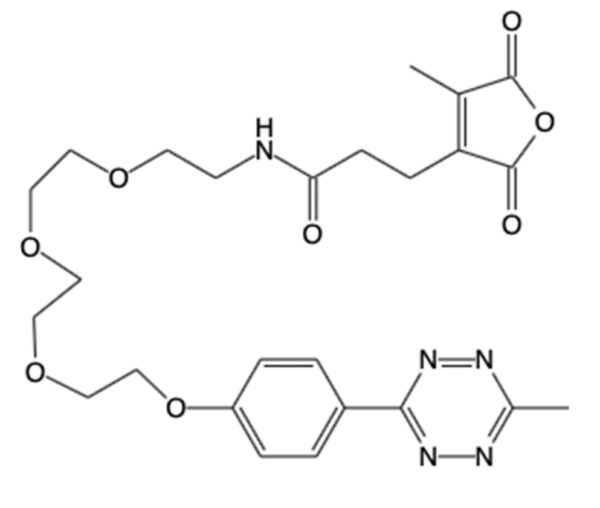 ProMTag - Image 2